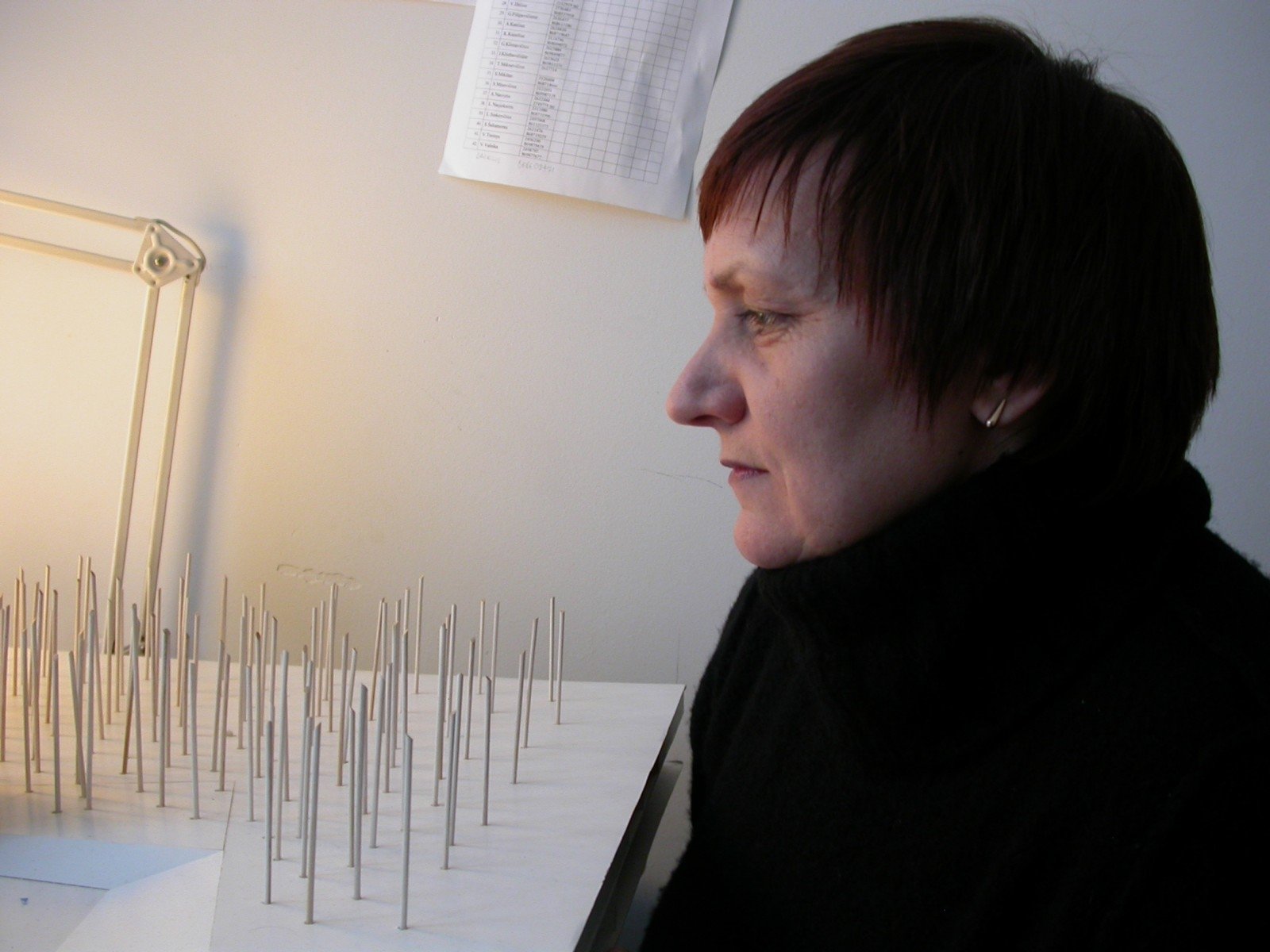 ARCHITEKTĖ ALMA PALEKIENĖ: DAUG TALENTINGŲ ARCHITEKČIŲ „PASIGLEMŽIA“ BUITIS