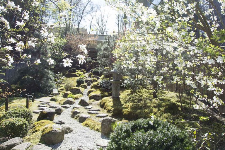 Japoniškas sodas Sei Shin En